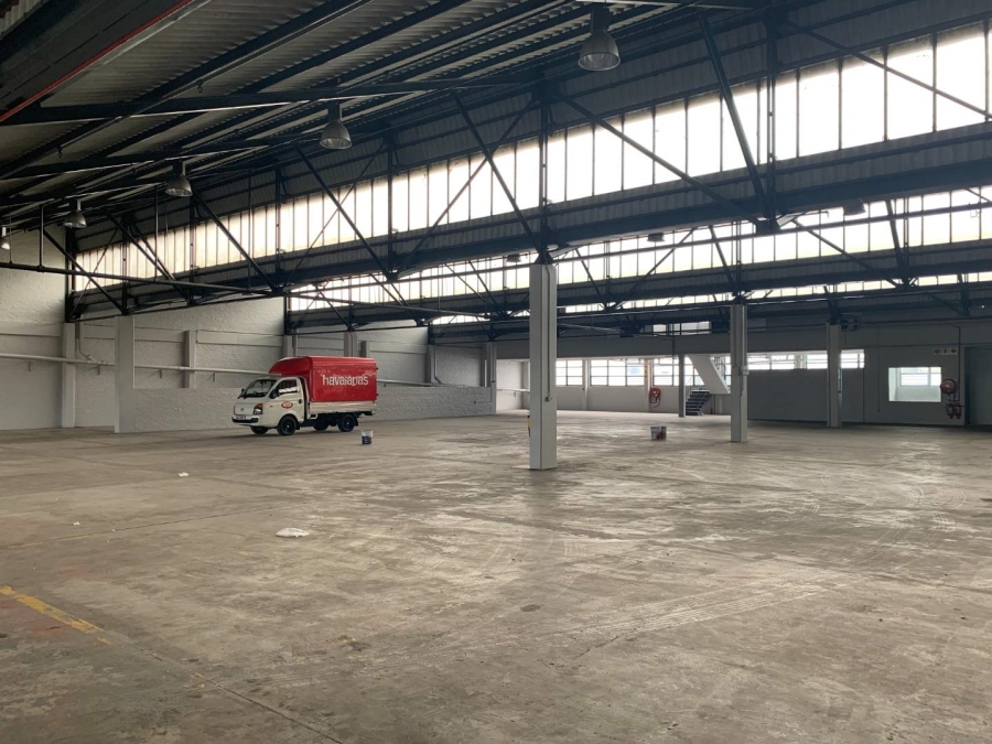 To Let Commercial Property for Rent in Paarden Eiland Western Cape